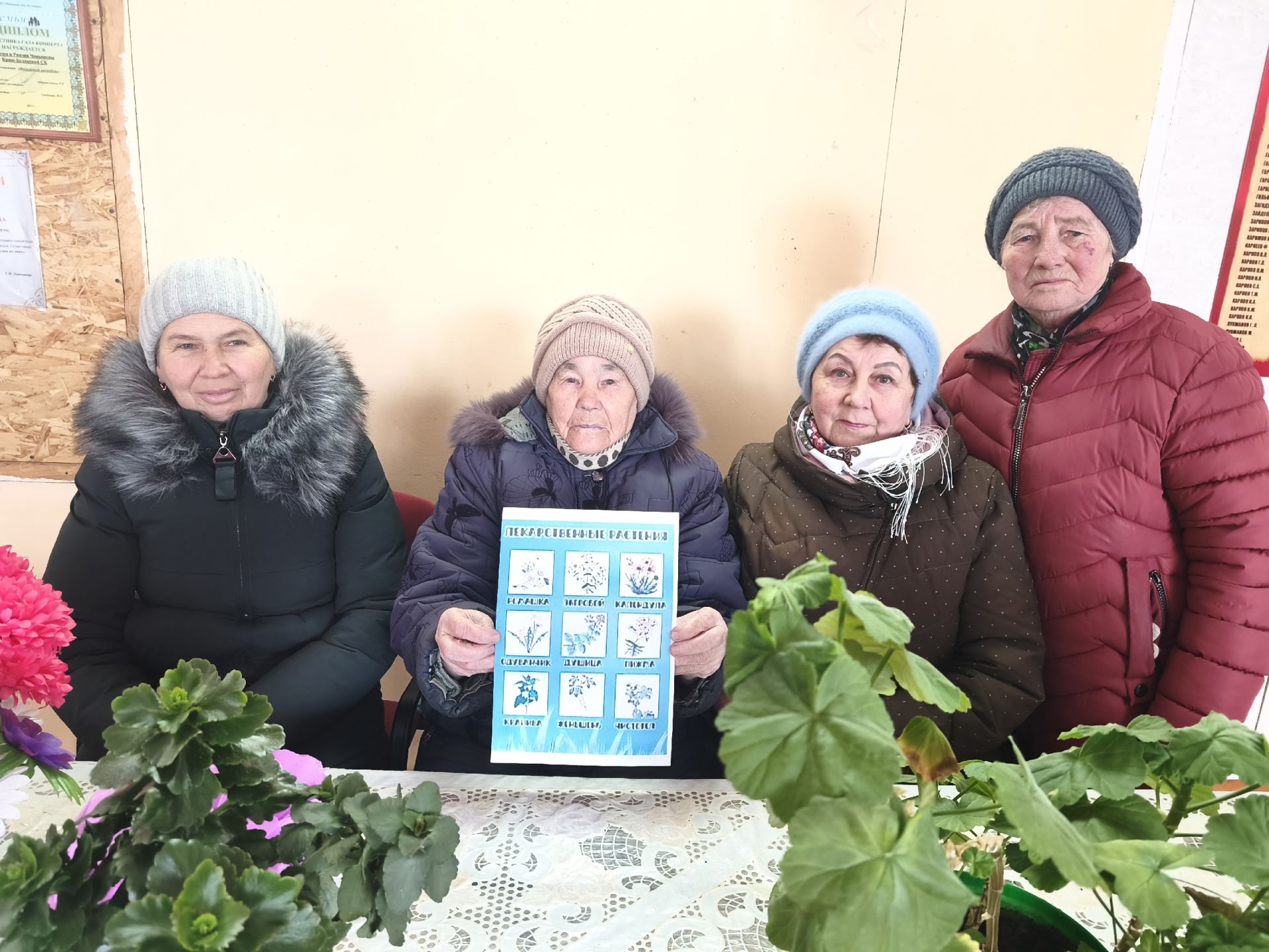 Секреты зелёного подоконника
