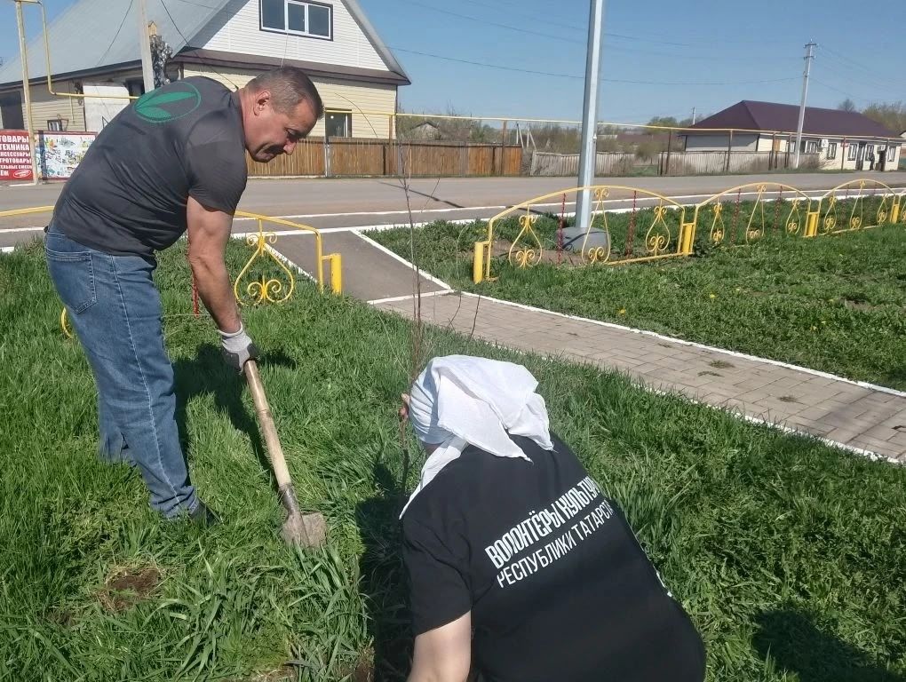 «Сад памяти»: живой памятник поколениям