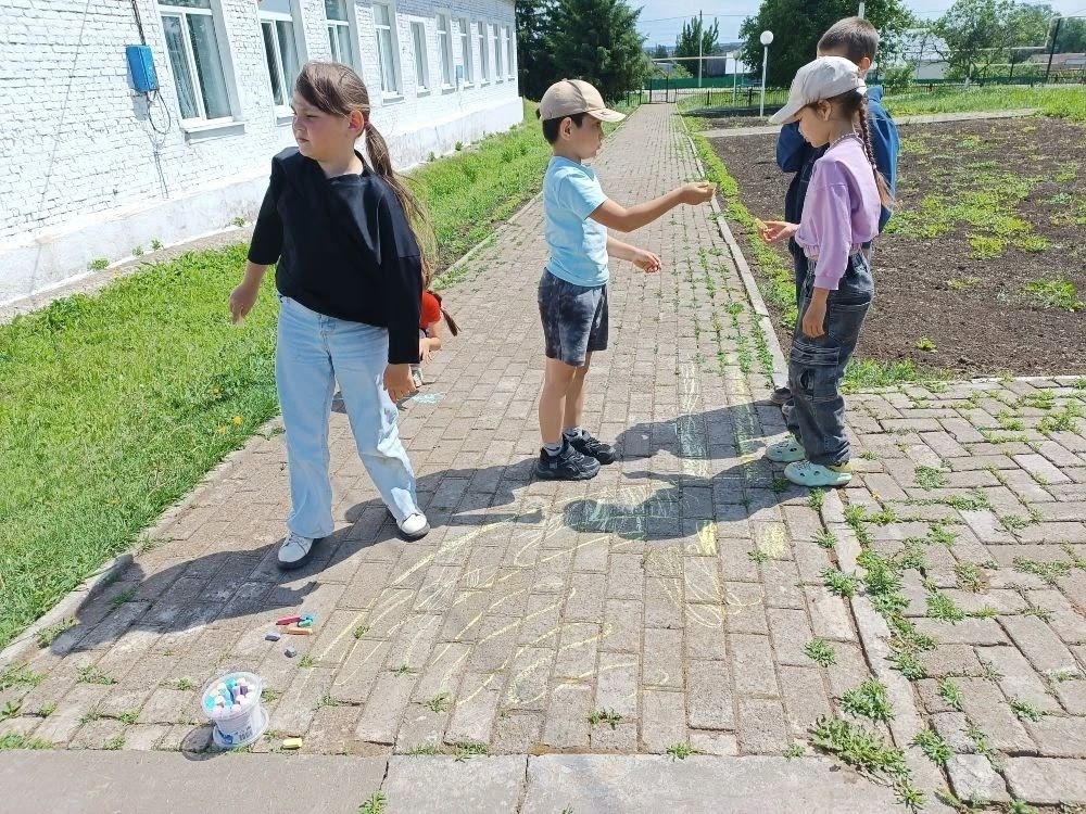Праздник цвета на сером асфальте