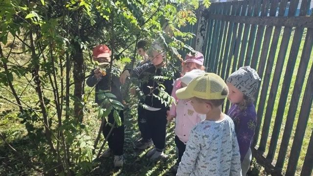 Подгорновский СДК организовал познавательный экологический час для юных жителей села