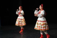 Образцовый ансамбль «Сударушка» выступил на республиканском совещании в Казани