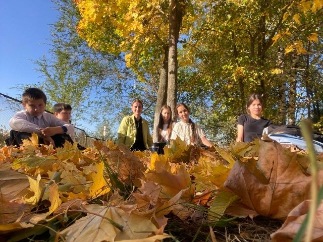 Урок природы под открытым небом