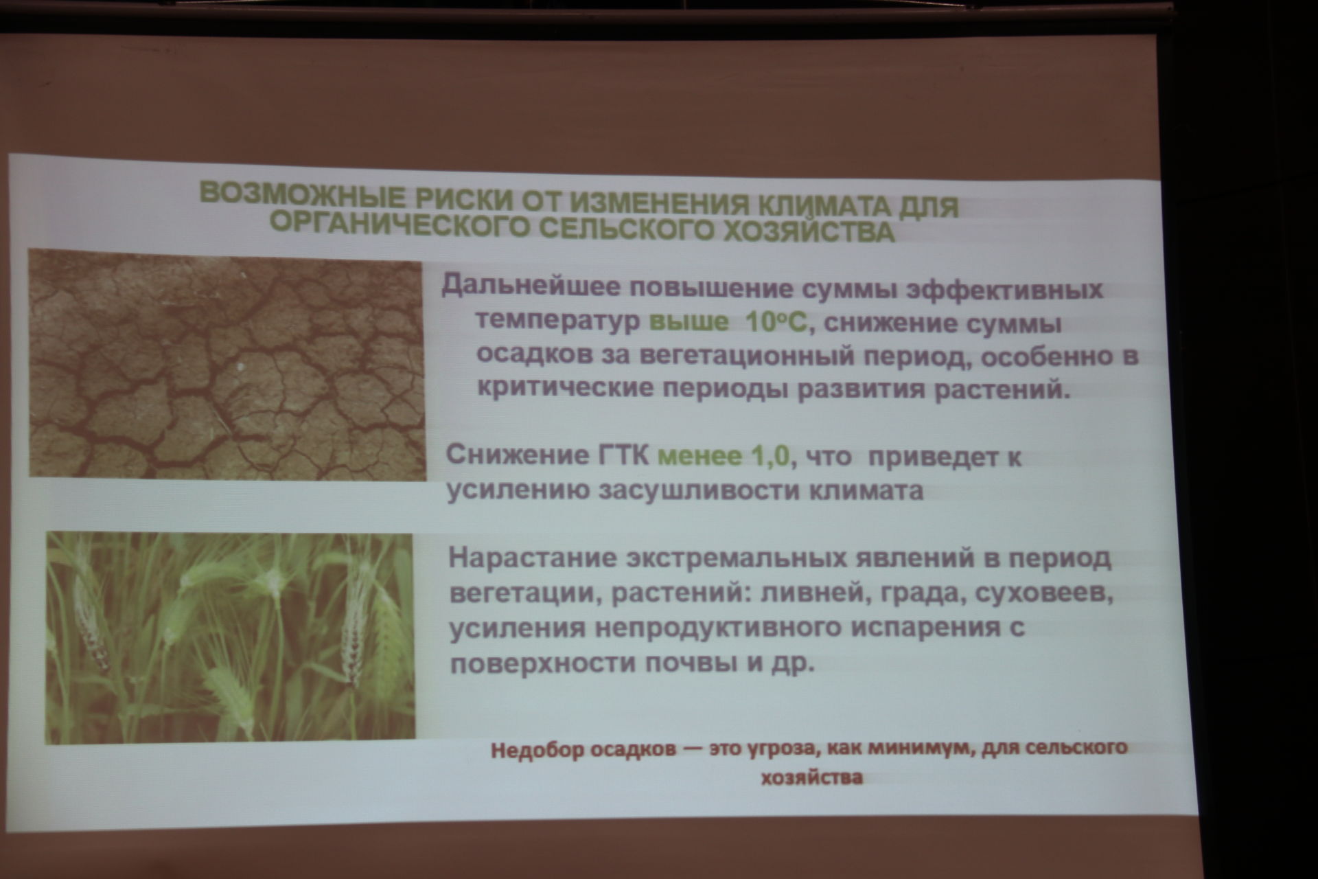 Аграрии Ютазинского района собрались большой совет