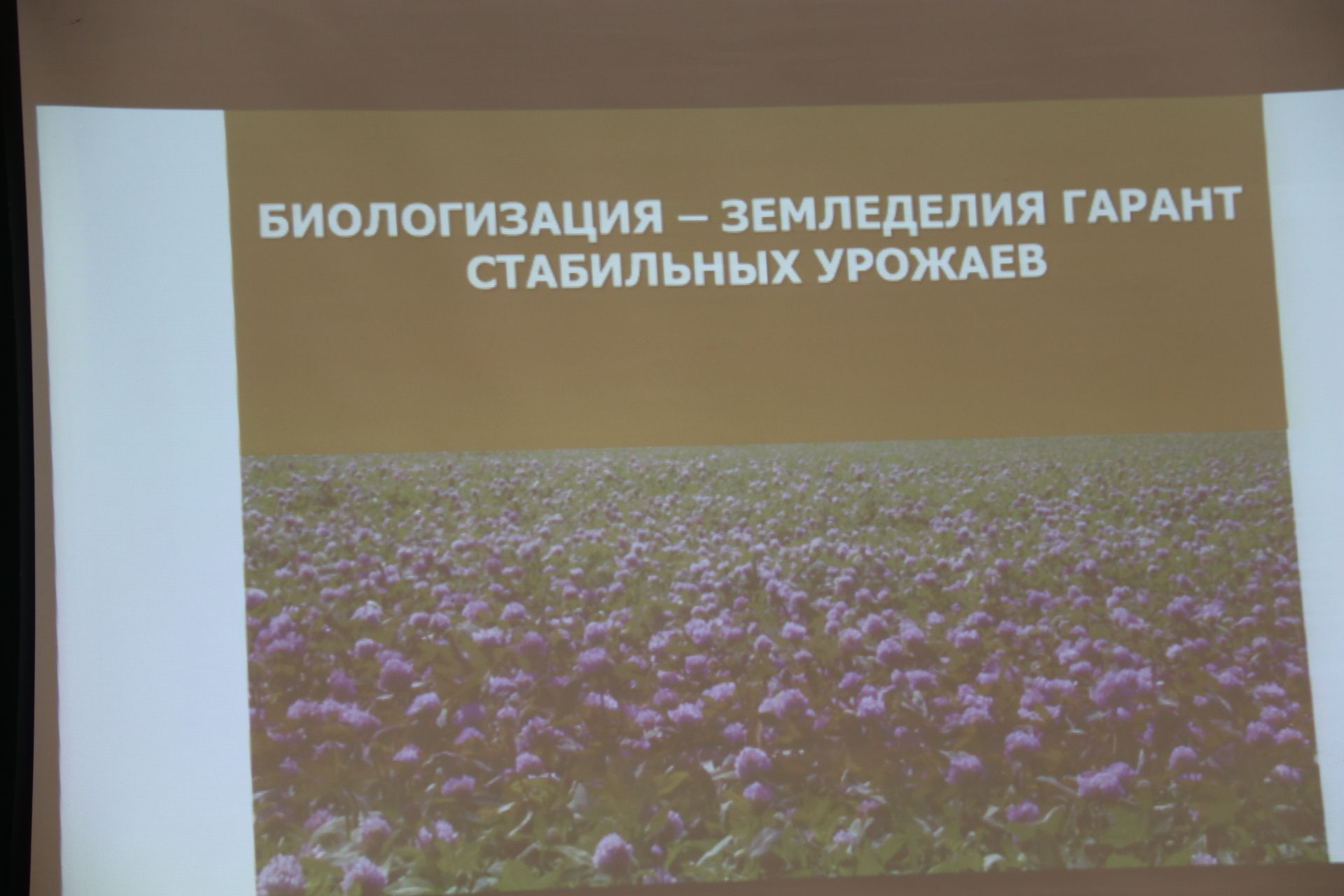 Аграрии Ютазинского района собрались большой совет
