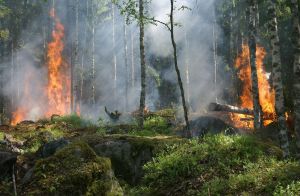 Предупрежден, значит вооружен - высокая пожароопасность в Татарстане