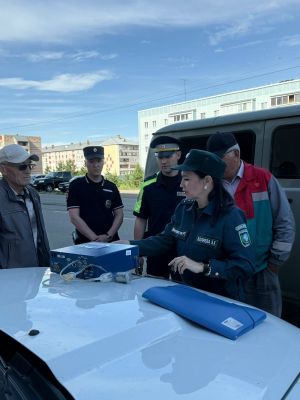 2,6% проверенных в Татарстане автомобилей превысили норму выбросов