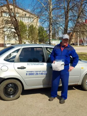 С заботой о здоровье животных — к благополучию района