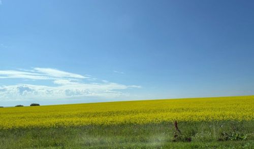 Доброе воскресное утро, уважаемые земляки!