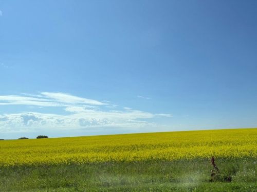 Доброе воскресное утро, уважаемые земляки!