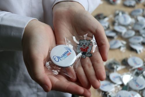 Младшие школьники района торжественно посвящены в «Орлята»