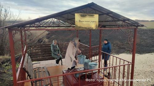 Восстановление родника «Учительский» в Дрожжановском районе: история успеха #ЭстафетыДобра