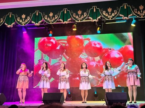 Концерт ко Дню матери прошел в районном Доме культуры