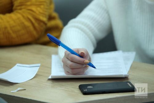 В Татарстане продолжается голосование за публичные цели шести министерств