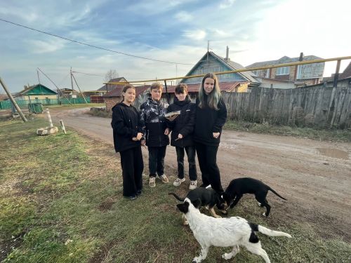 Уруссинские школьники помогают животным