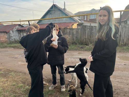 Уруссинские школьники помогают животным