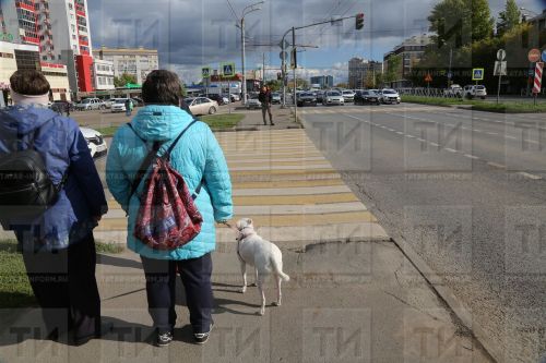 В Казани есть утвержденные пункты проката электросамокатов