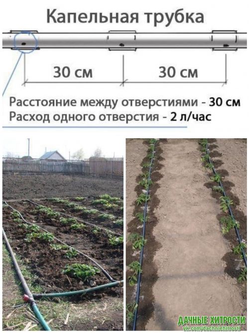 А вы знали, что из бочки можно сделать поливную систему ?