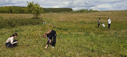 Гимназисты проводят каникулы с пользой