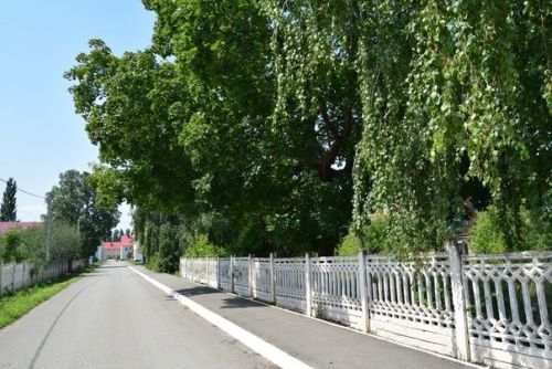 С добрым субботним утром, ютазинцы!