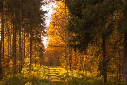 Прогноз погоды 31 августа