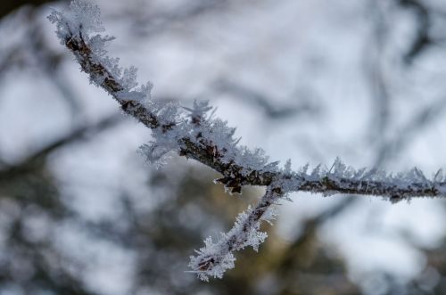 12 января уруссинцев ожидает потепление
