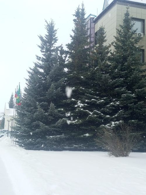 Прогноз погоды в Уруссу на  января