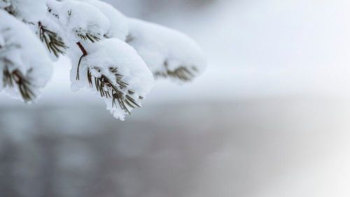 Погода на 26 декабря
