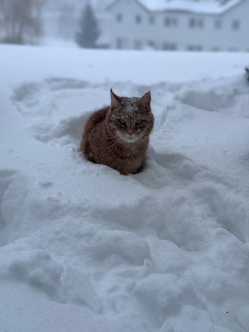 Народные приметы на 28 декабря