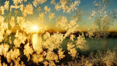 Погода на 28 декабря.