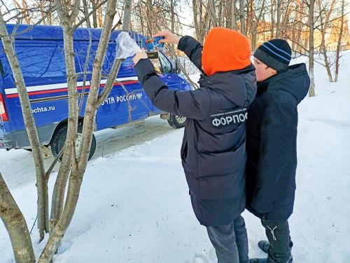 Активная молодежь района поучаствовала в акции «Покормите птиц зимой»