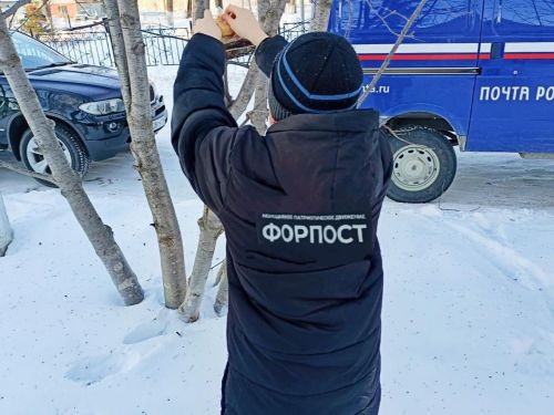 Активная молодежь района поучаствовала в акции «Покормите птиц зимой»
