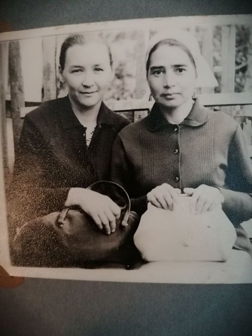 Бану с математическим складом ума