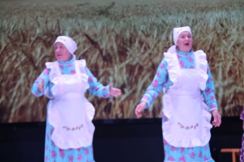 Сельчане Ютазинского района блеснули своим талантом на гала-концерте