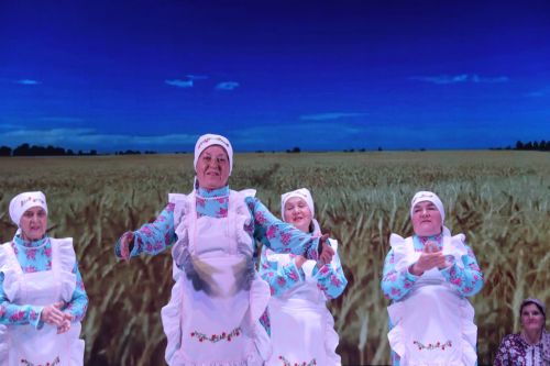 Сельчане Ютазинского района блеснули своим талантом на гала-концерте