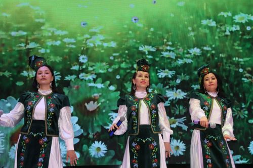 Сельчане Ютазинского района блеснули своим талантом на гала-концерте