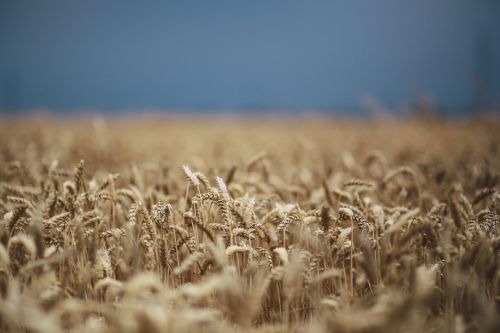 Спрашивали — отвечаем