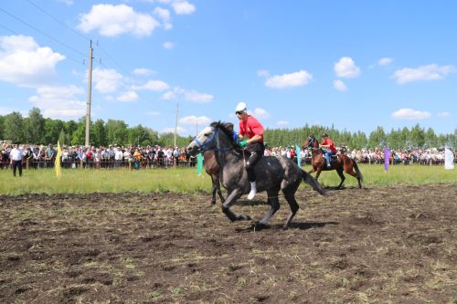 Эх, гнедые, вороные, озорные скакуны!