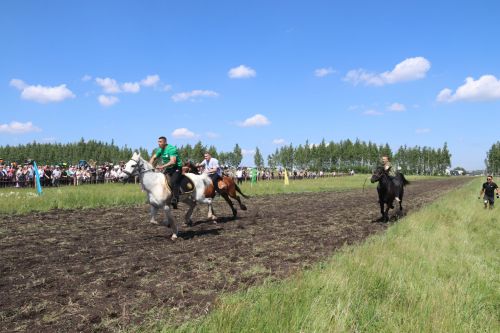 Эх, гнедые, вороные, озорные скакуны!