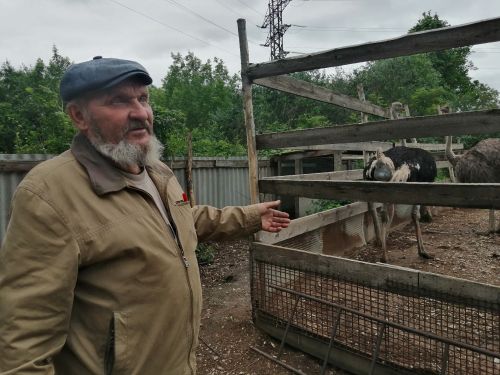 Голуби и страусы — его страсть