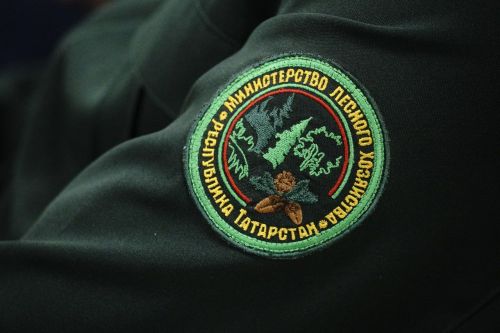 Минлесхоз Татарстана намерен повысить выплату для молодых кадров до полумиллиона рублей