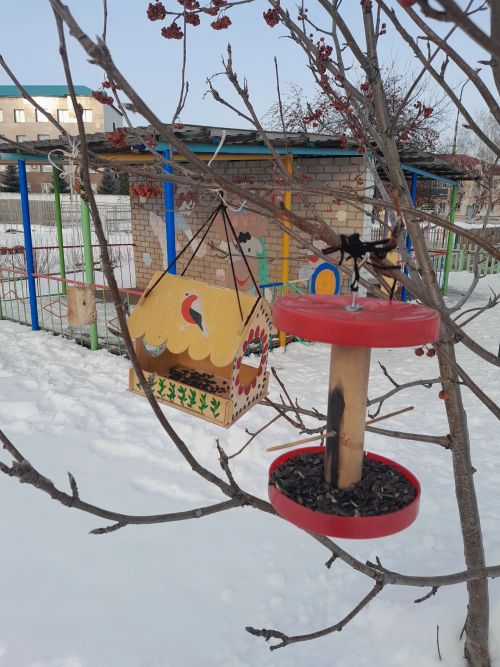Зимний период - очень трудное время для пернатых