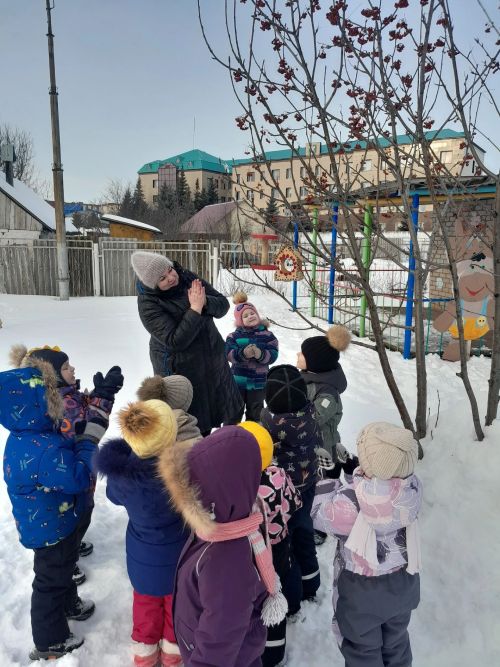 Зимний период - очень трудное время для пернатых