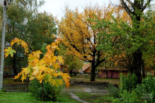 Погода на четверг: Солнечно и прохладно