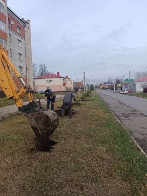 Новые зелёные насаждения: вклад ТСЖ «Восток» в экологию района