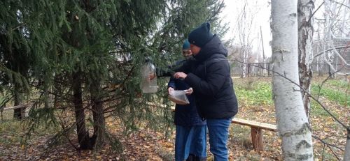 Забота о птицах: акция по установке кормушек в парках