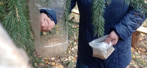 Забота о птицах: акция по установке кормушек в парках