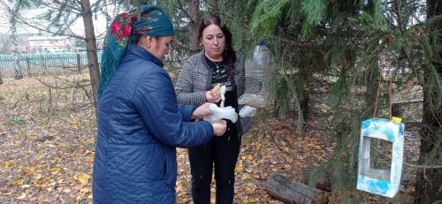 Забота о птицах: акция по установке кормушек в парках