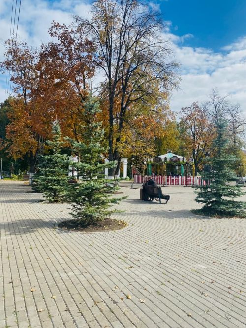 Доброе утро
