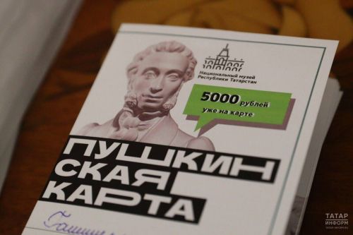 Татарстан отмечен на федеральном уровне за успехи по «Пушкинской карте»