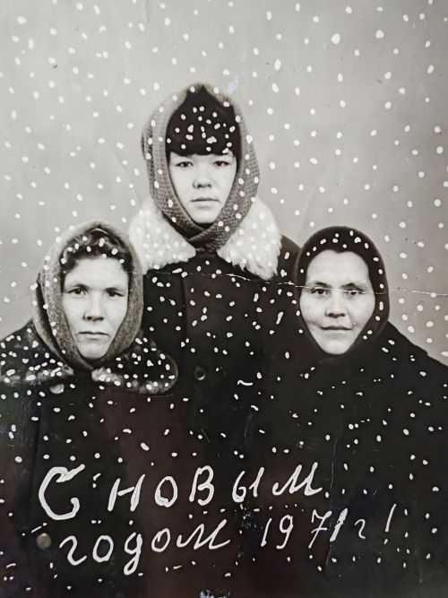 Не грибы в лесу высматривала, а сухой валежник